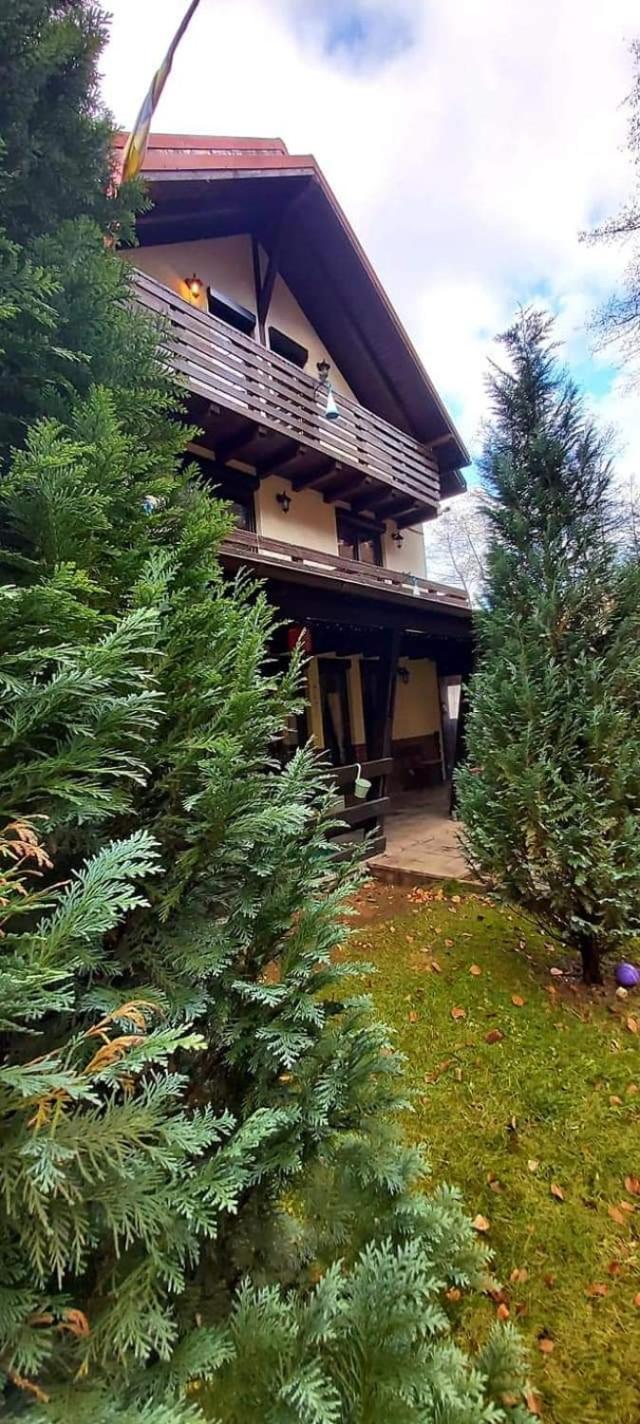 Casuta Din Padure Malaia Hotel Exterior foto