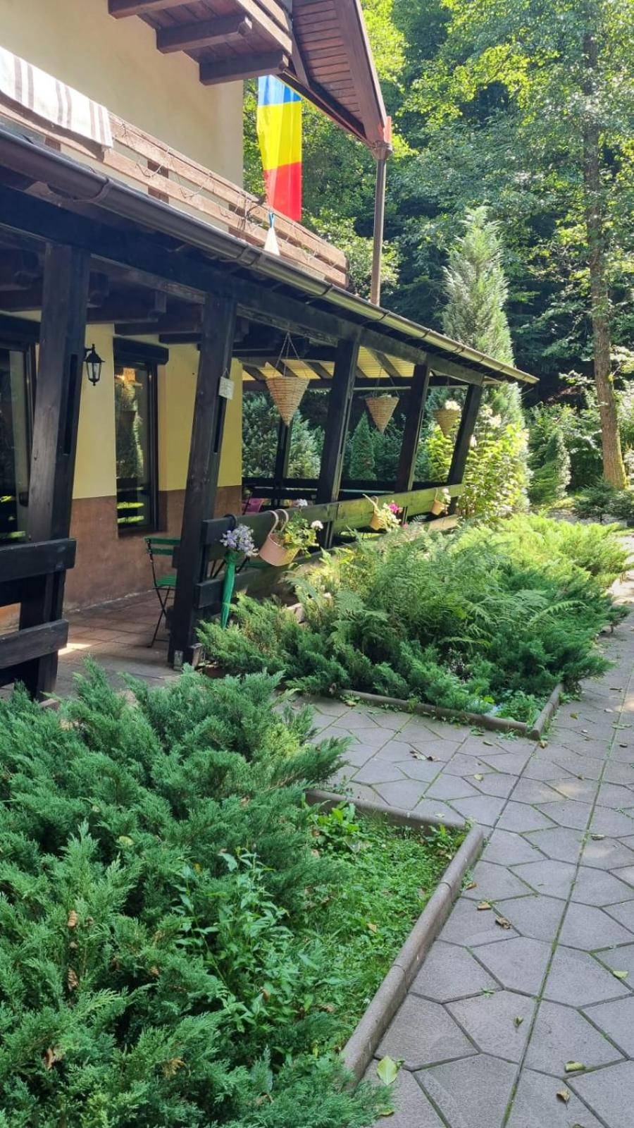 Casuta Din Padure Malaia Hotel Exterior foto